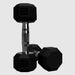 VTX SD-R 8-Sided Rubber Encased Hex Dumbbell 10lbs Pair Hexagon Rubber Dumbbells