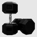 VTX SD-U 8-Sided Urethane Encased Dumbbell Sets 100 lb Dumbbells pair on a white background