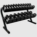 VTX T-DR Horizontal Dumbbell Rack - 2-Tier Rail Rack w/o Saddles With Dumbbells