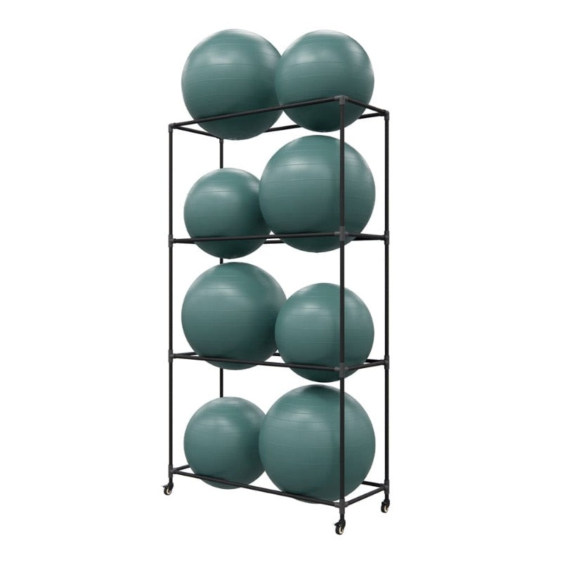 Power Systems VersaBall Pro Stability Ball Sample with Rack