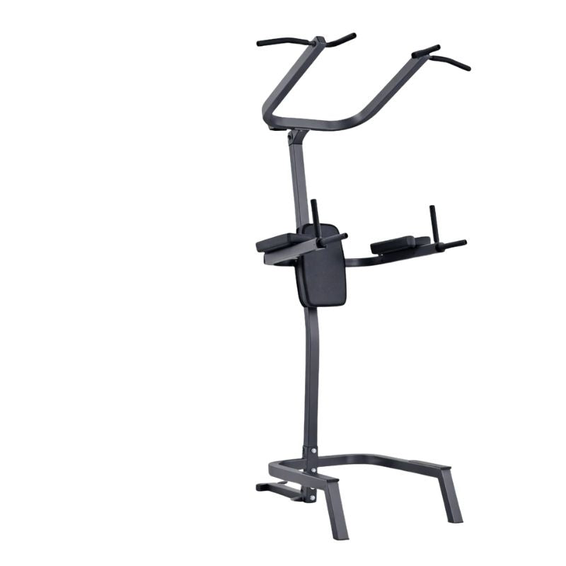 Vertical Knee Raise Station