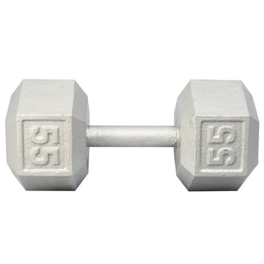 YORK Barbell Cast Iron Hex Dumbbell Set 55 lb Dumbbell
