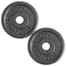 YORK  1_ Standard Contour Cast Iron Plate - Black 10 lb Weight Plate Pair