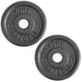 YORK  1_ Standard Contour Cast Iron Plate - Black 2.5 lb Weight Plate Pair