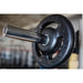 York 300lb Iso-Grip Rubber-Encased Steel Olympic Plate Set inside Gym attached to Rack