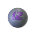 Troy Premium Rubber Medicine Ball | GMB-G2 12lb