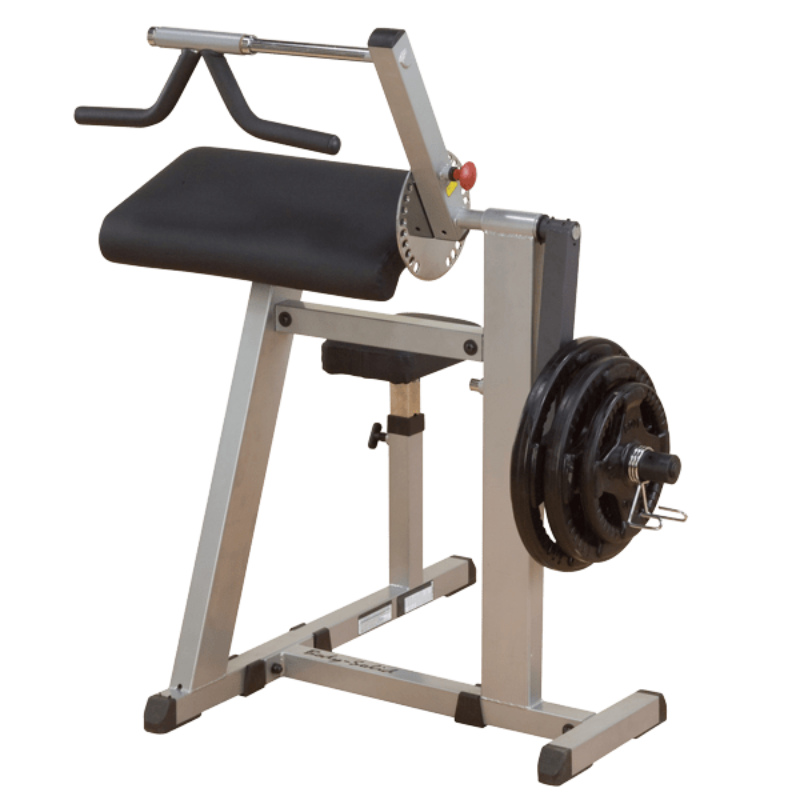 Body Solid Cam Series Bicep Tricep Machine | GCBT380