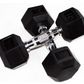 Troy Solid 6 Sided Rubber Hex Dumbbell | HD-R 15lb Pair