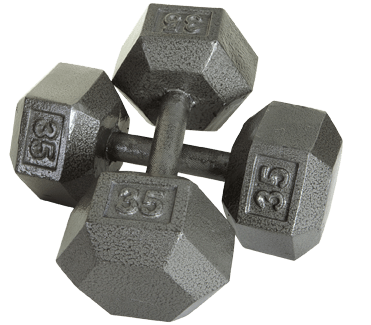 Troy Solid Gray Cast Iron Hex Dumbbell | IHD 35lb Pair