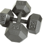 Troy Solid Gray Cast Iron Hex Dumbbell | IHD 35lb